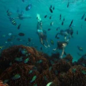 Seychellen Urlaub