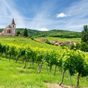 Enchanting Travels France Tours old church and vineyards in Hunawihr village in Alsace, France
