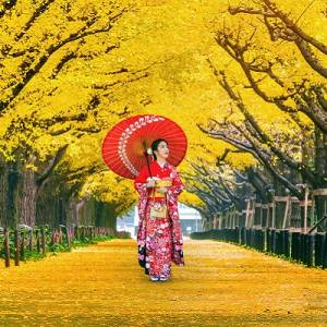 Enchanting Travels Japan Tours Autumn park in Tokyo, Japan