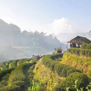 Chiang Mai, Thailand