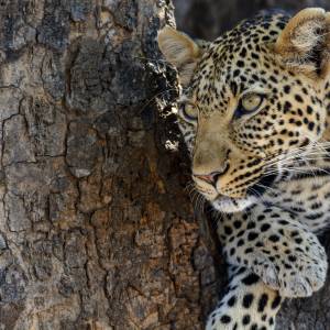 Tanzania Tour