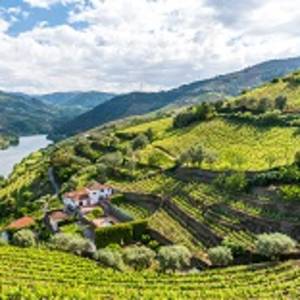 Douro Valley