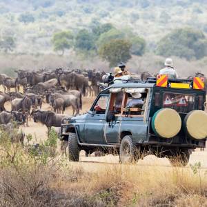 Kenya Tour