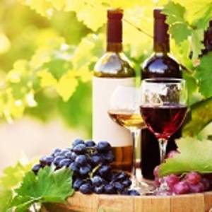 Wine in a vineyard