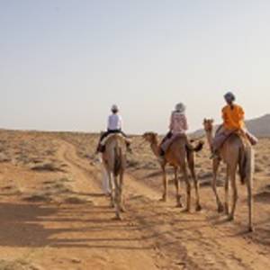 Walking with camels in desert of oman