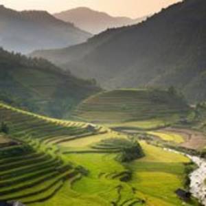 Thailand Tour