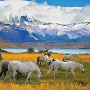 Chile Vacation