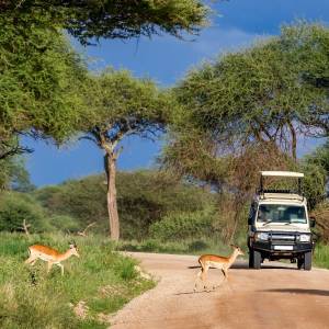 Afrika Reise