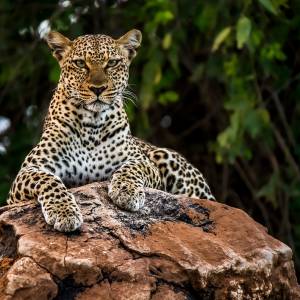 Afrika Reise