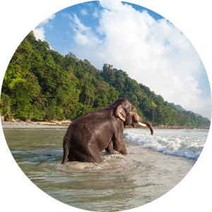 Indien Reise