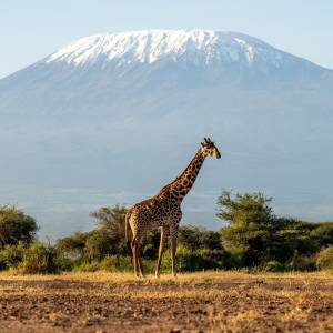 Afrika Reise