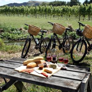 Neuseeland Reise