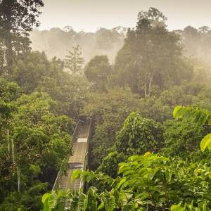 Malaysia Reise
