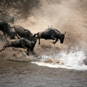 Afrika Reise