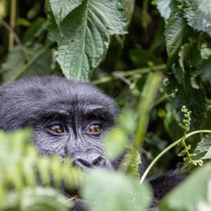 Afrika Reise