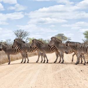 Afrika Reise