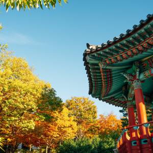 Traditioneller koreanischer Pavillon und bunte Herbstbäume im 5.18 Memorial Park in Gwangju Südkorea