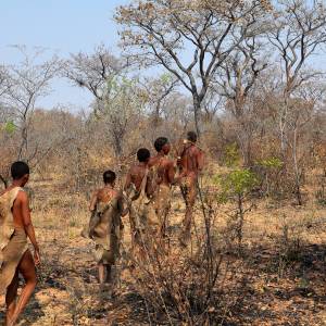 Botswana Reise
