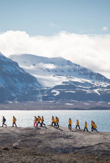Arctic