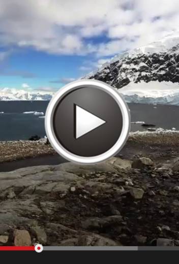 Ideal Polar Expeditions for Bird-watchers