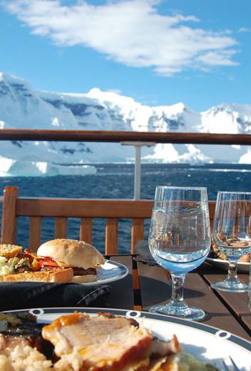 The Polar Bear Week Energy Challenge