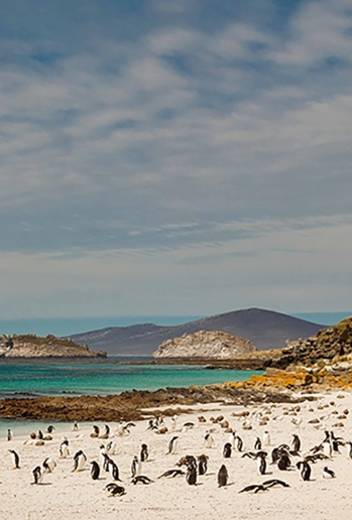 Arctic Express: Greenland & Back in 10 Days