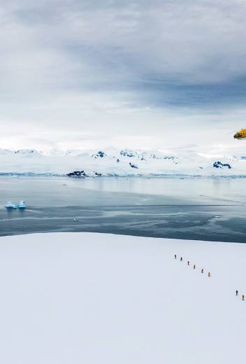 Ice Sheet Experience