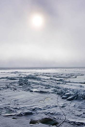 Our Antarctic Journey: A Canadian Couple’s Trek to the 7th Continent