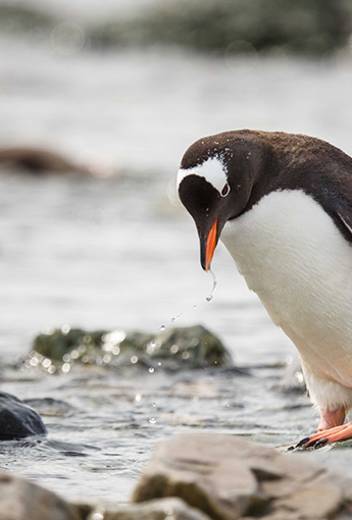 The Northwest Passage: Three Weeks in the High Arctic
