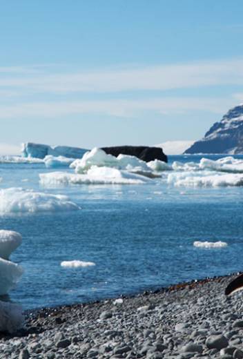 Jump in a sea kayak and take to the iceberg infested fjords of Greenland | City A.M.