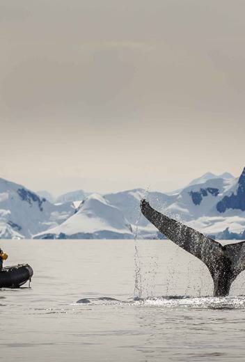 The Antarctic Peninsula