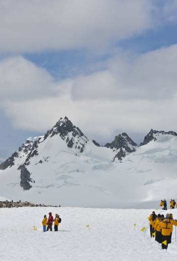 The Best Expedition Cruises To Antarctica