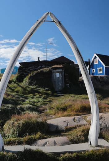 Our Antarctic Journey: A Canadian Couple’s Trek to the 7th Continent