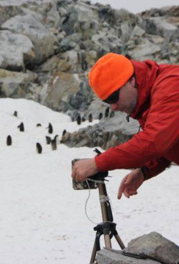 Highlights of Arctic Exploration: Polar Bears