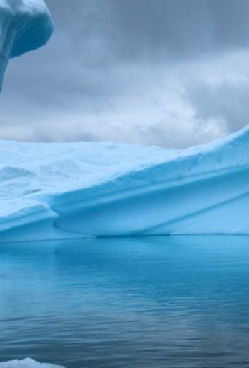 The Antarctic Peninsula