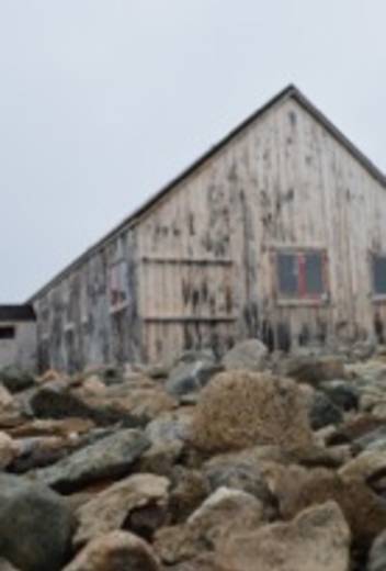 3 Memories of a Lifetime from my Antarctic Expedition