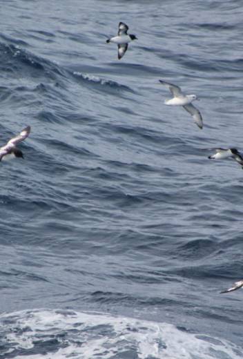 The Northwest Passage: Three Weeks in the High Arctic