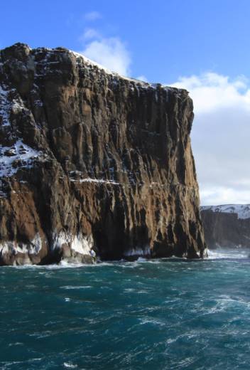 Helpful Guide to Bird Watching in Patagonia