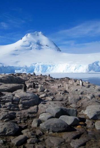 Tips for Amazing Galápagos Photography