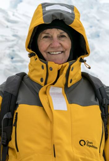 Wildlife Guide: Harp Seal Facts