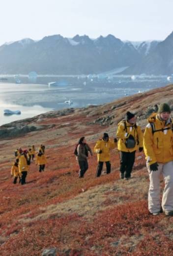 Best Binoculars for Birding in Antarctica