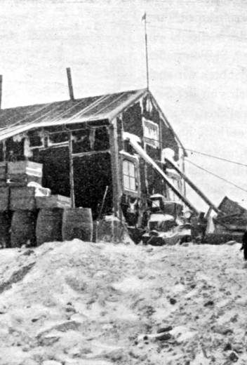 Snow Hill to the Peninsula: Shackleton’s Emperors webinar, with photographer and guide Paul Goldstein.