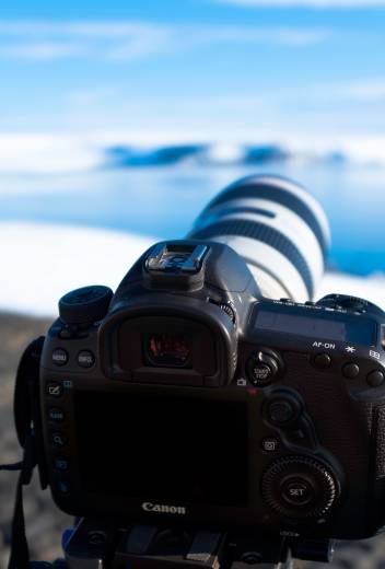 The Best Expedition Cruises To Antarctica