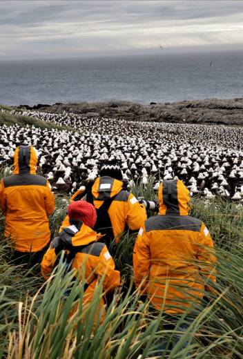 Best Binoculars for Birding in Antarctica