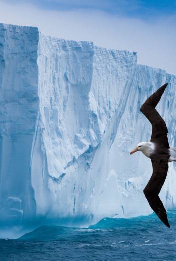 Exploring Elephant Island, Antarctica