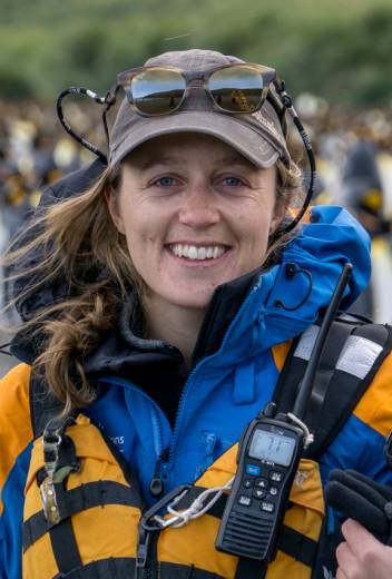 Antarctic Wildlife Guide: Penguin Tours