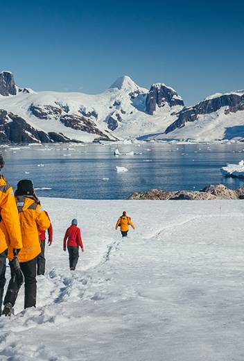 The Best Expedition Cruises To Antarctica