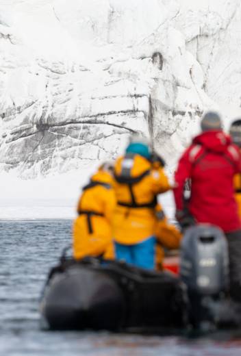 Best Binoculars for Birding in Antarctica
