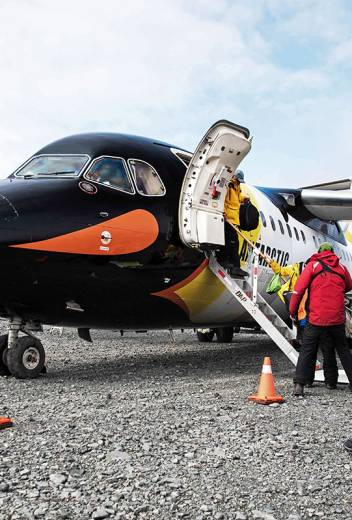 Antarctic Wildlife Guide: Penguin Tours