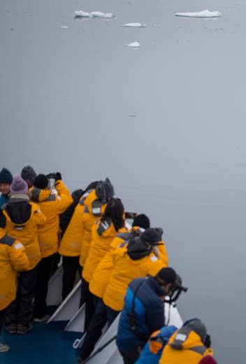 Polar Bears, Glaciers, and Beyond: The Top Wildlife and Adventure Experiences in Svalbard 